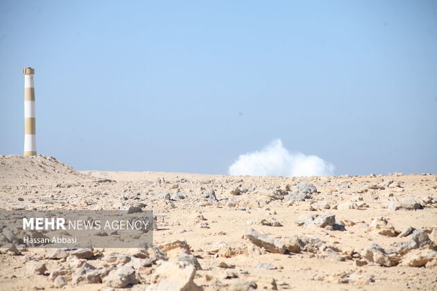 4065023_IMG_7172_resize