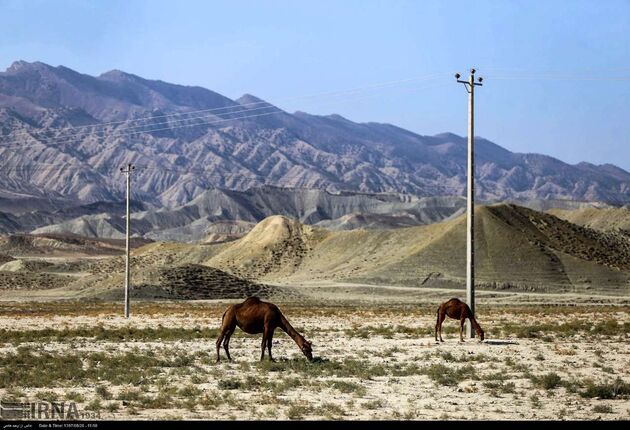روستاهای محروم خراسان شمالی، عکس:وحید خادمی