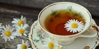 معرفی۱۰ آنتی هیستامین طبیعی که برای آبریزش بینی معجزه می کند