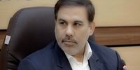 سخنگوی قوه قضاییه: برخی افراد در پی ترور قضات شهید بازداشت شدند+ فیلم