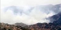 یک فروند پهپاد با نقض حریم هوایی لبنان در جنوب این کشور مواد آتش زا پرتاب کرد