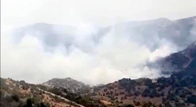 یک فروند پهپاد با نقض حریم هوایی لبنان در جنوب این کشور مواد آتش زا پرتاب کرد
