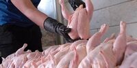 قیمت جدید مرغ اعلام شد