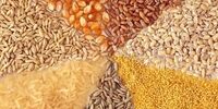 ایران چقدر خوراک دام خرید؟