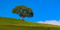 طبیعت منطقه ارسباران |تصاویر