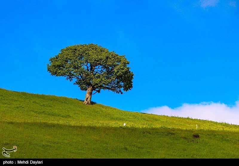 طبیعت منطقه ارسباران |تصاویر