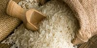 گرانی افسارگسیخته برنج 