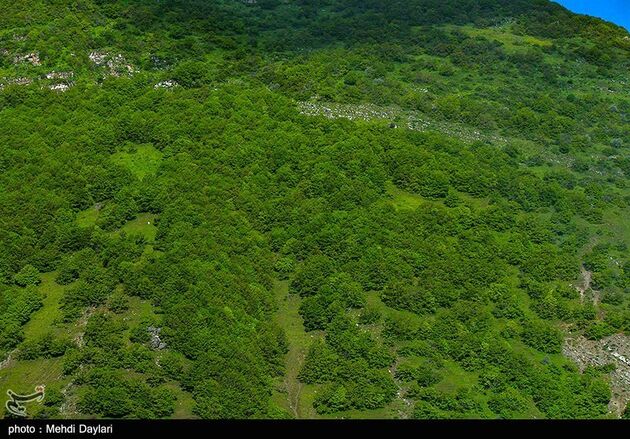 image42