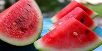 هسته این ۷ میوه را حتما بخورید
