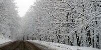 بارش سنگین برف در محورهای شمالی