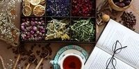 دمنوش‌های معجزه گر برای گوارش روزه‎ داران در ماه رمضان + اینفو