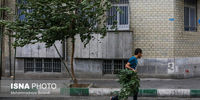 هشدار مهم برای تهرانی ها/ باد خیلی شدید در راه است