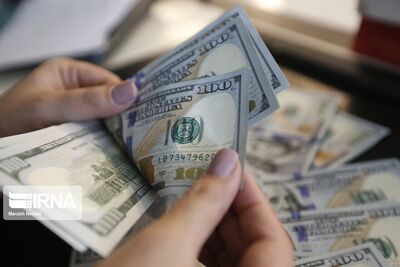 خروج 485 کالا از شمول ارز ترجیحی/واردات 4 کالا با این ارز + عکس
