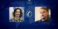 ابراز تمایل بلژیک برای توسعه همکاری‌ها با ایران