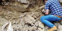 ماجرای کشف اسکلت انسان در بریانک/پرونده‌ای که بعد از 20 سال گشوده شد