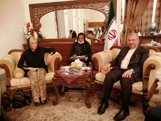 سفیر ایران در عراق با نماینده سازمان ملل دیدار کرد