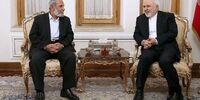 ظریف: دولت‌های اسلامی که به صهیونیست‌ها و آمریکا دل بسته‌اند به جهان اسلام بازگردند