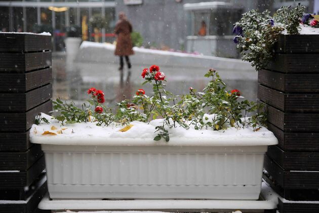 برف و سرمای پاییزی