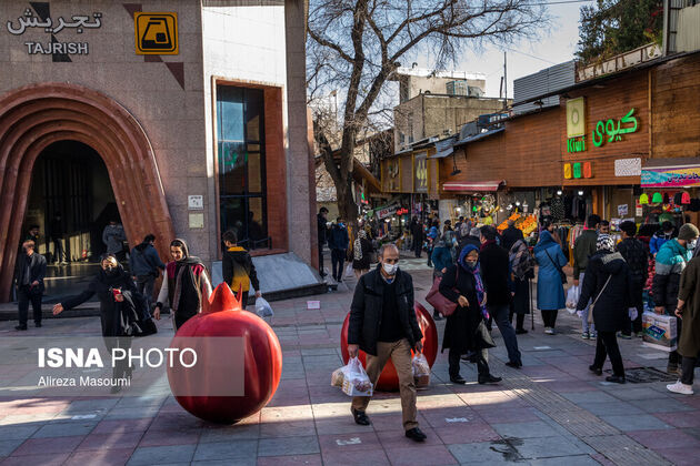 62127259_ALIS2019