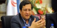 دیدار همتی با رئیس کل بانک مرکزی ترکیه