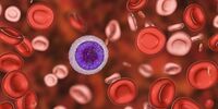 کدام خدمات تالاسمی تحت پوشش صندوق بیماری‌های خاص و صعب‌العلاج است؟