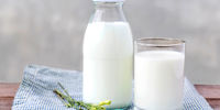 عوارض مرگبار مصرف زیاد شیر برای مردان 