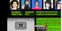 تصاویری از وبسایت نسیم نجفی تبار حمله کننده به ساختمان یوتیوب 