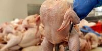 قیمت منطقی هر کیلو مرغ چقدر است؟