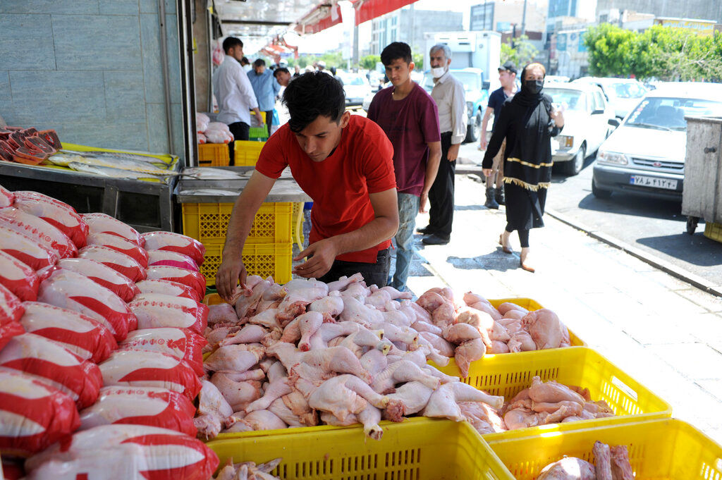 جدیدترین قیمت مرغ در بازار