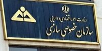 رییس جدید سازمان خصوصی‌سازی منصوب شد
