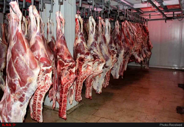 روزانه 150 تن گوشت گوسفند وارد می‌شود