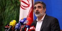 خبر کمالوندی از توانایی غنی سازی ۴۰ تا ۶۰ درصدی ایران 