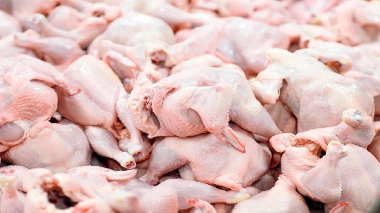 خاوازی: قیمت مرغ به شدت در حال کاهش است