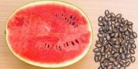 این میوه تابستانی قرمز رنگ  سنگ کلیه را پودر می کند
