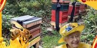 زنبورها از مرگ ملکه انگلیس مطلع شدند/ ترس کاخ باکینگهام از خشک شدن عسل زنبورها!