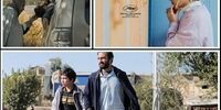 اعلام برنامه نمایش فیلم های ایرانی در کن
