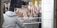 جدیدترین قیمت گوشت گوسفندی در بازار امروز 9 بهمن
