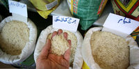 افزایش باورنکردنی قیمت برنج!