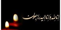کارشناس علوم آزمایشگاهی دانشگاه علوم پزشکی ایران به شهادت رسید