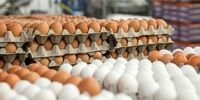 قیمت مرغ، تخم‌مرغ، لبنیات و روغن تغییر خواهد کرد