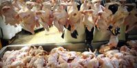 گوشت قرمز ایران به کدام کشورها صادر می‌شود؟/قیمت گوشت‌های وارداتی اعلام شد