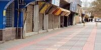 از تعطیلی کرونایی تا اوضاع “شیر تو شیر”لبنیات