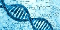 اطلاعات شخصی شهروندان بر اساس DNA ثبت می‌شود