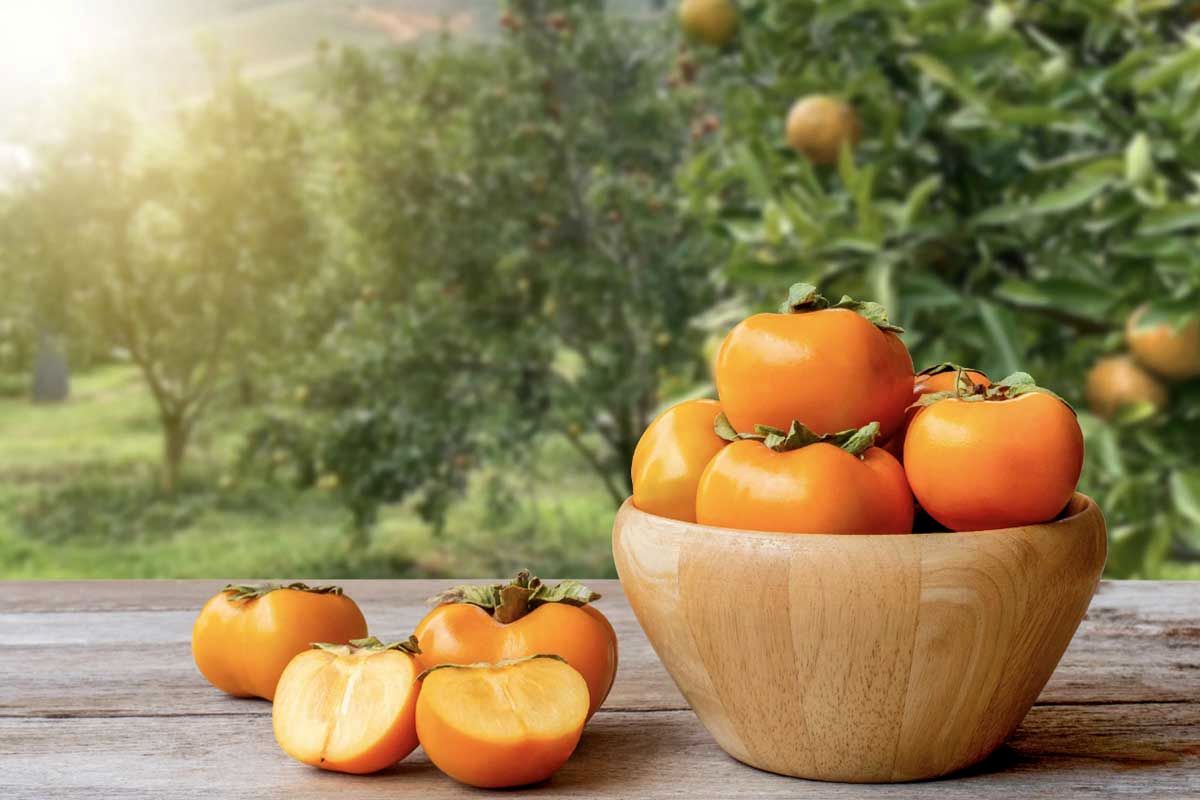 این افراد به هیچ وجه خرمالو نخورند!