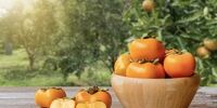 این افراد به هیچ وجه خرمالو نخورند!