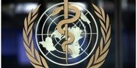 هشدار سازمان جهانی بهداشت: حمله به رفح فاجعه انسانی است