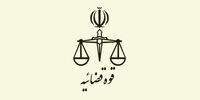 واکنش قوه قضائیه به خبر سفر درمانی نیری به آلمان