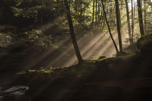 OuGAKwkYyFur