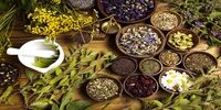 10 گیاه با خواص دارویی که هر شخص باید آن را در خانه خود داشته باشد