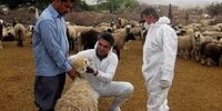 فوت یک نفر به دلیل ابتلا به تب کریمه کنگو در کشور